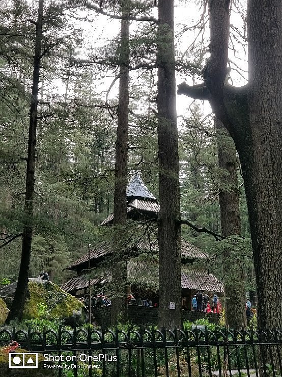 Kullu Manali - 1